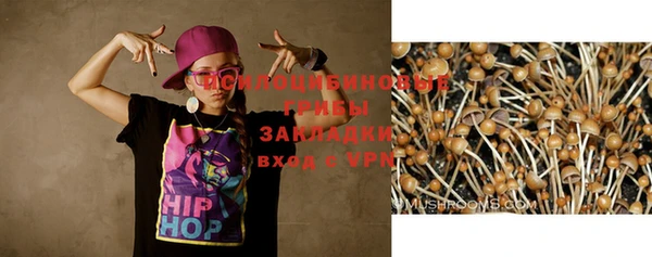 spice Покровск